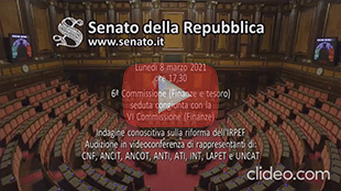 08/03/2021 | Audizione Commissione Finanze Camera e Senato, partecipanti per l'INT Benvenuto e Alemanno